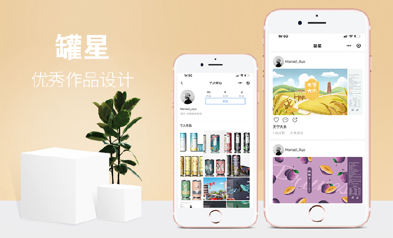 罐星小程序